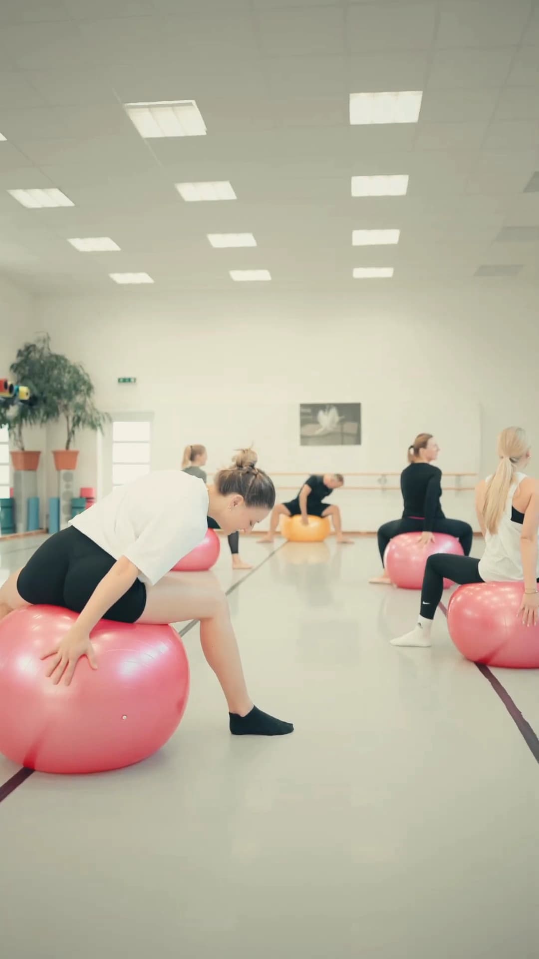 Kräftigung für Beine, Po, Bauch und Rücken